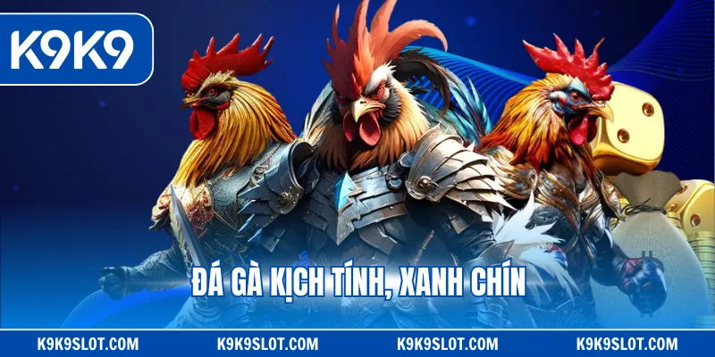 Đá gà kịch tính, xanh chín