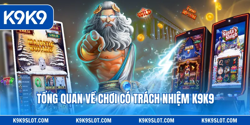 Tổng quan về chơi có trách nhiệm K9K9