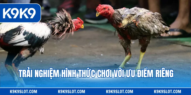 Trải nghiệm hình thức chơi với ưu điểm riêng